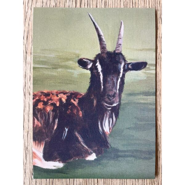 Postkaart 'Lissa Loes' Thumbnail