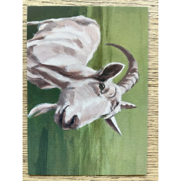 Postkaart 'Poppejanneke' Thumbnail